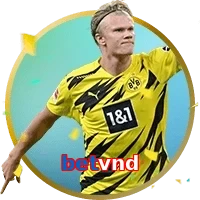 betvnd