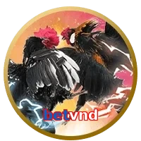 betvnd