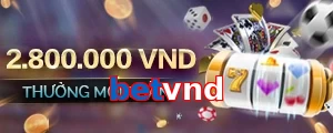 betvnd