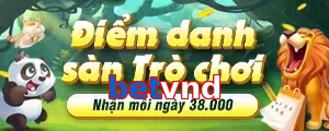 betvnd