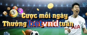 betvnd